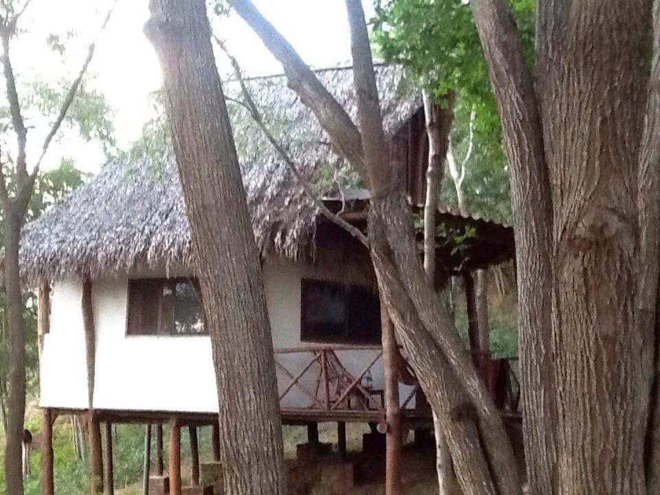 Tuani Ecolodge Tola Exterior photo